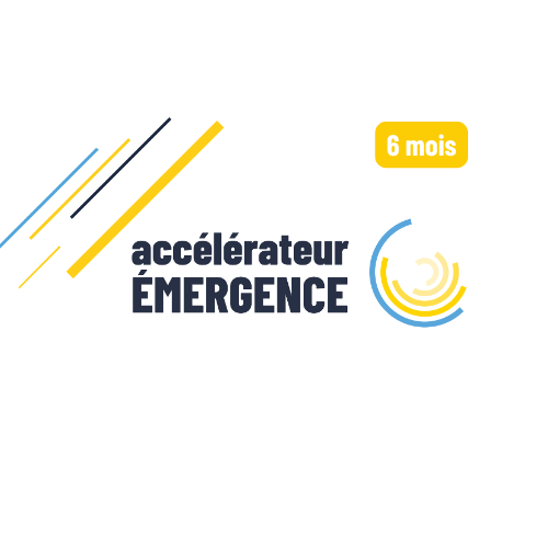 Logo programme Emergence
